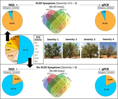 Xylella fastidiosa Infection Reshapes Microbial Composition and Network Associations in the Xylem of Almond Trees